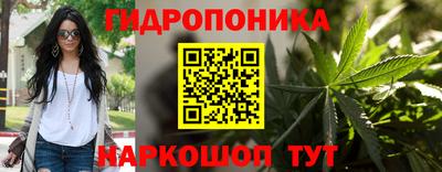 ECSTASY Канаш