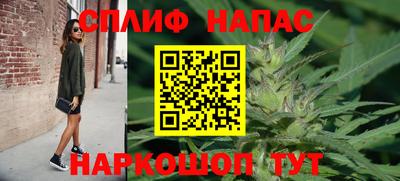 ECSTASY Канаш