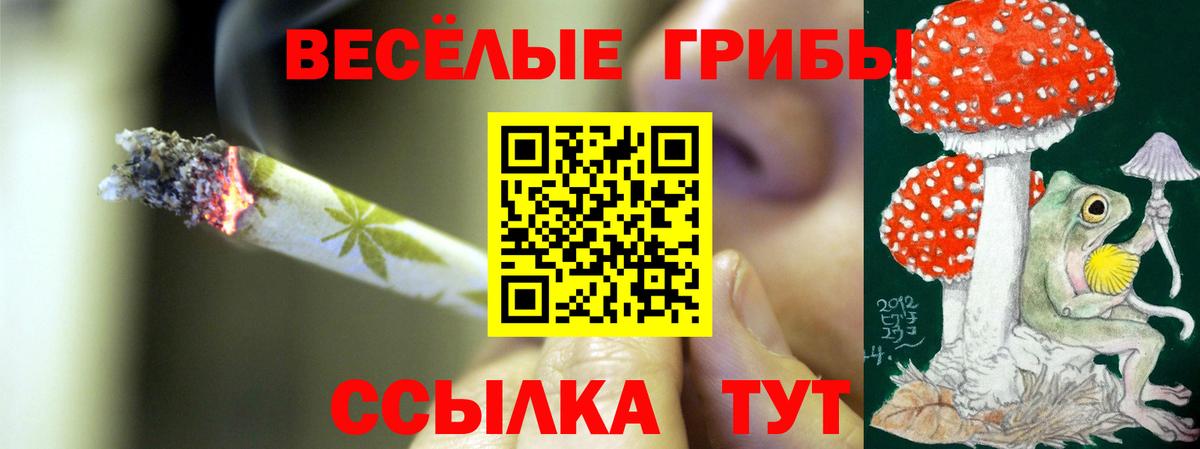 Галлюциногенные грибы Psilocybe Лянтор