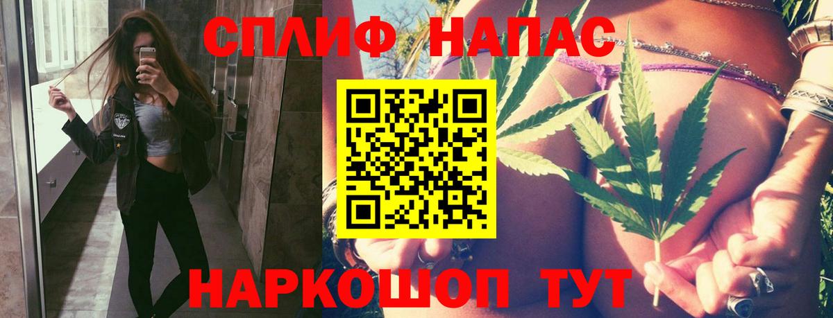 Канабис тримм  Вход с VPN  Бошки Шишки индика  Канабис Bruce Banner  Канабис планчик  Лянтор 